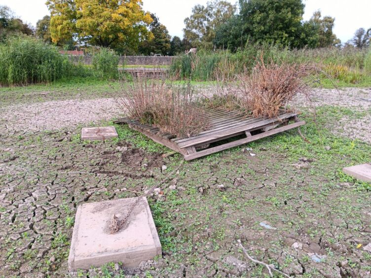 Cracked surface of South Inch pond with exposed concrete blocks and dried out weeds