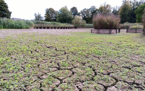 Dried out surface of South Inch pond, Perth