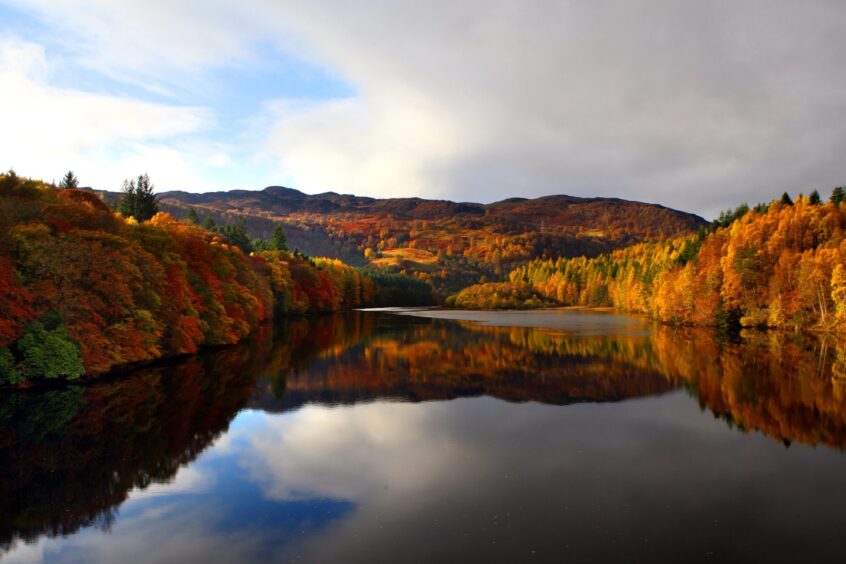 Autumn colours on Loch Faskally in Pitlochry's Big Tree Country. 