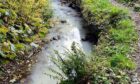 Locals asked for further investigation after Buchlyvie Burn appeared to be contaminated. Image: Alastair Tait