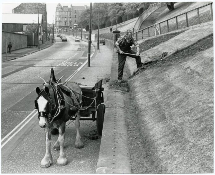 a man digs in a grassy embankment in Lochee Road in Dundee while a horse stands with a cart on the pavement nearby