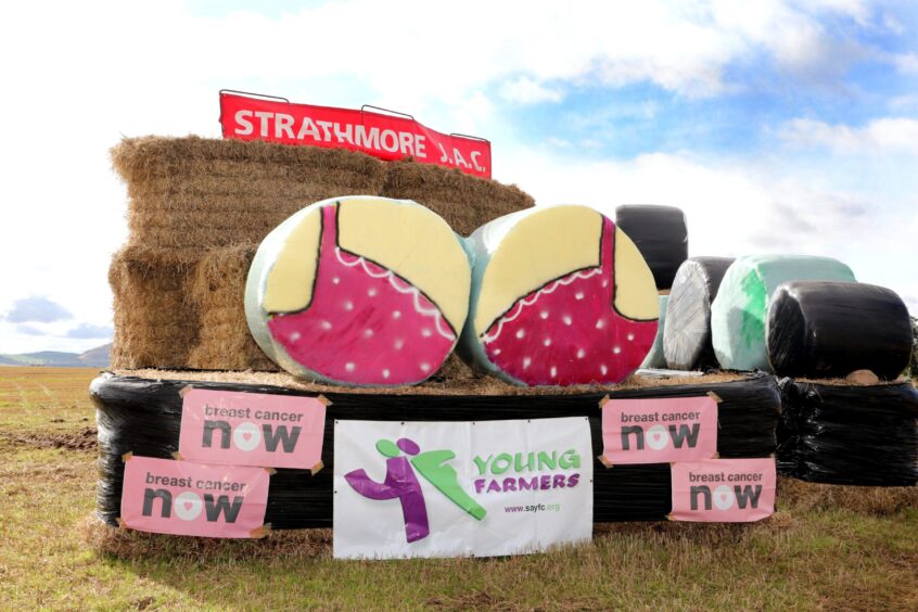 Strathmore JAC helped t raise money to support cancer awareness with these decorated hay bales near Coupar Angus.