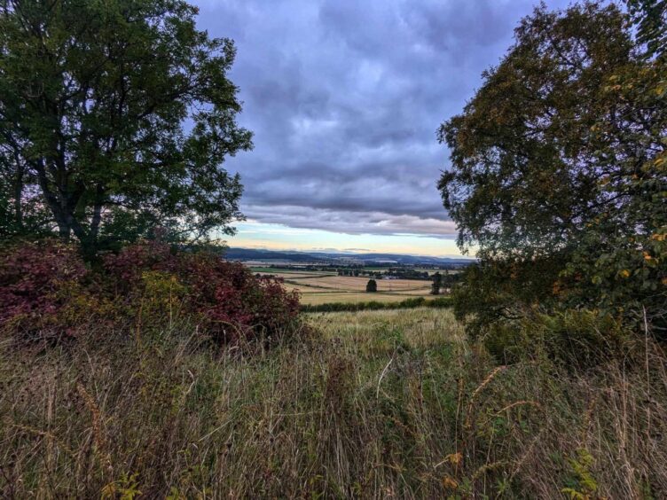 Views across the valley on emerging from Glenfarg railway tunnels.