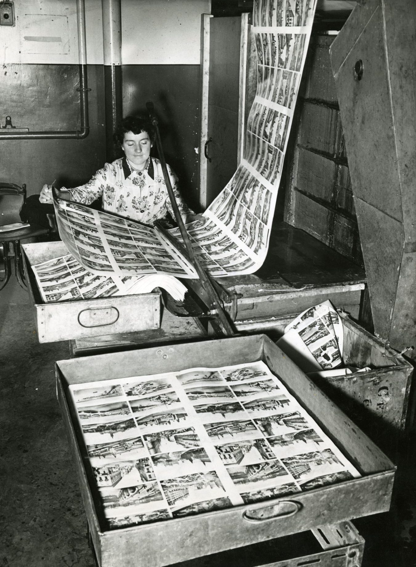 Valentines postcards being cut at the Dundee factory by Elizabeth Reilly in 1955. 