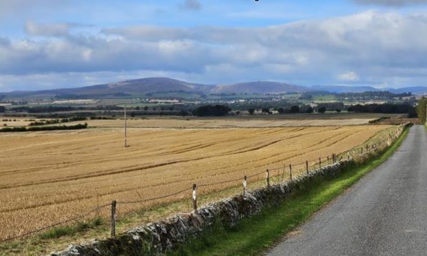 Farmland west of Forfar is earmarked for the solar scheme. Image: BLC Energy