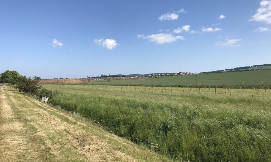 Garth Farm land on the west side of Forfar.