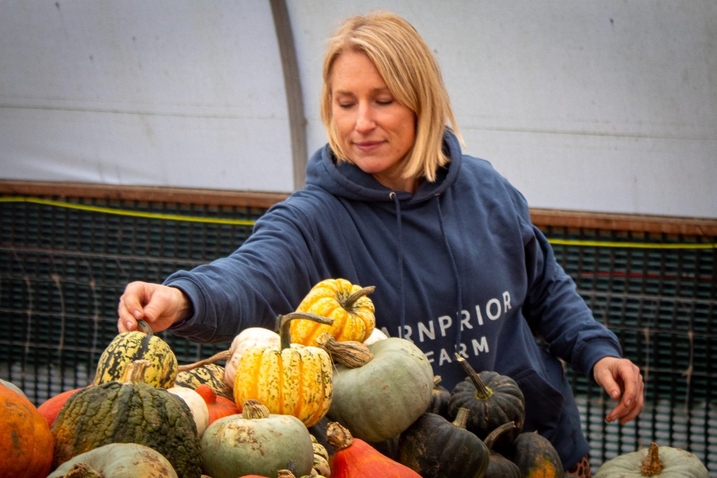 First look at Arnprior’s popular pumpkin patch as it opens for 2024