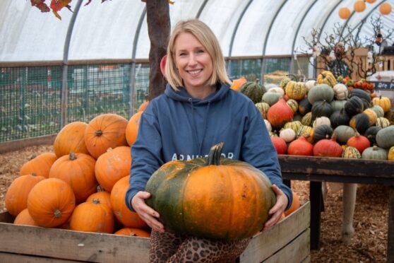 First look at Arnprior’s popular pumpkin patch as it opens for 2024