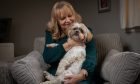 Adorable Shih Tzu Teddy B with owner Lynda Morrison in Carnoustie. Image: Kim Cessford.