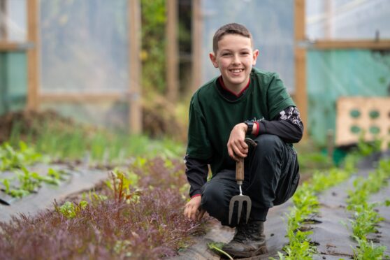 13-year-old Oscar Holden crouches down in the polytunnel at Greenheart Growers in a green jumper and holds a small gardening fork.