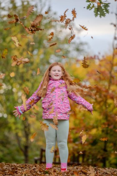 7 Year old Phoebe Bennett-Palmer from Kirkliston playing amongst the fallen leaves in Fife.