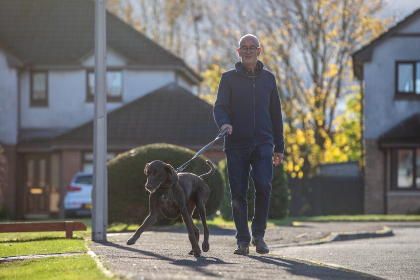 David Mcilroy's pointer Hugo was attacked by three 'dangerous' dogs. Image: Kenny Smith/DC Thomson.