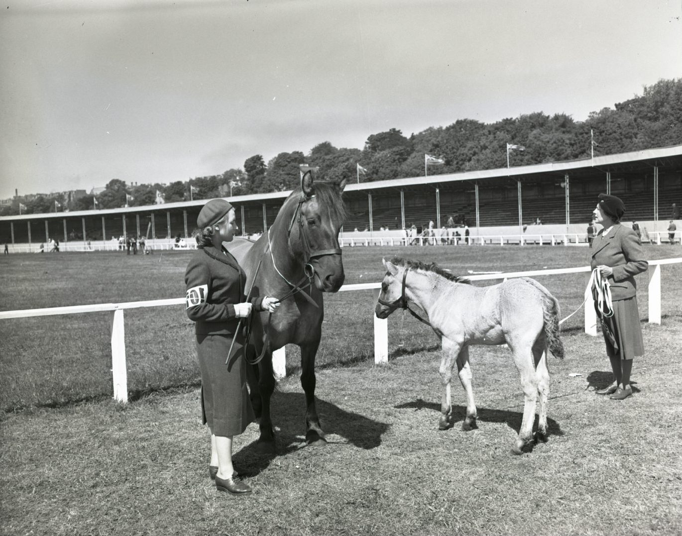 Two woman each holding the reins to a horse at the Royal Highland Show in 1957, with the showground and stand in the background