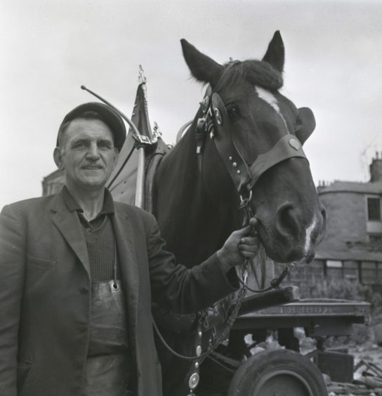 Paddy the horse with Chic the carter on his rounds in Dundee in September 1968.