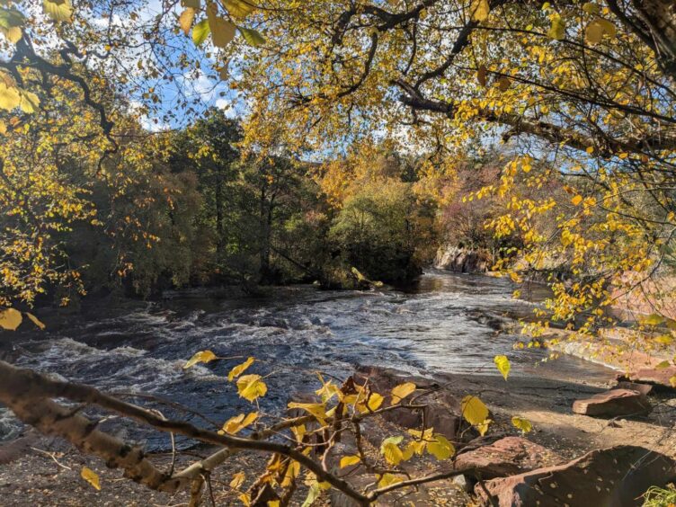 West Water at the site of Pirner's bridge in autumn. Image: Gayle Ritchie.