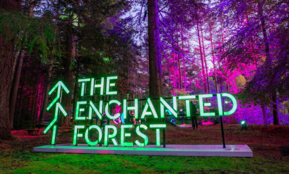 Enchanted forest sign with illuminated trees behind