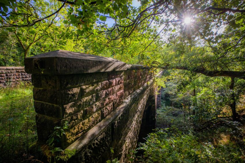 Sunlight hits the railway viaduct at Glenfarg. Image: Steve MacDougall/DC Thomson.