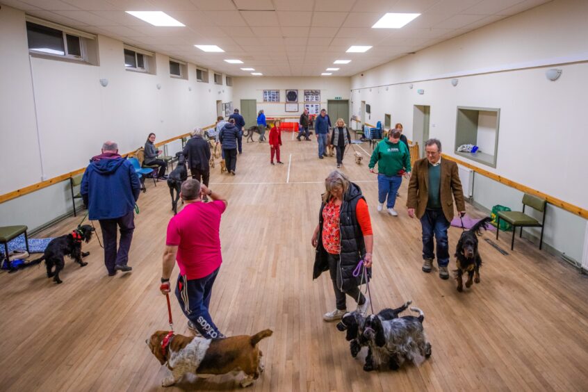 A Monday night dog training session at Tealing Hall run by Margaret Thomson.