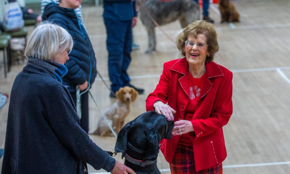 Margaret Thomson, aka the 'dog whisperer', has a laugh during one of her training sessions at Tealing Hall.