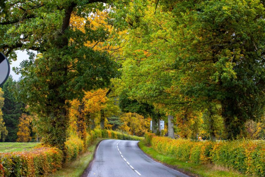 The roads are lined with vibrant colour in Perthshire.