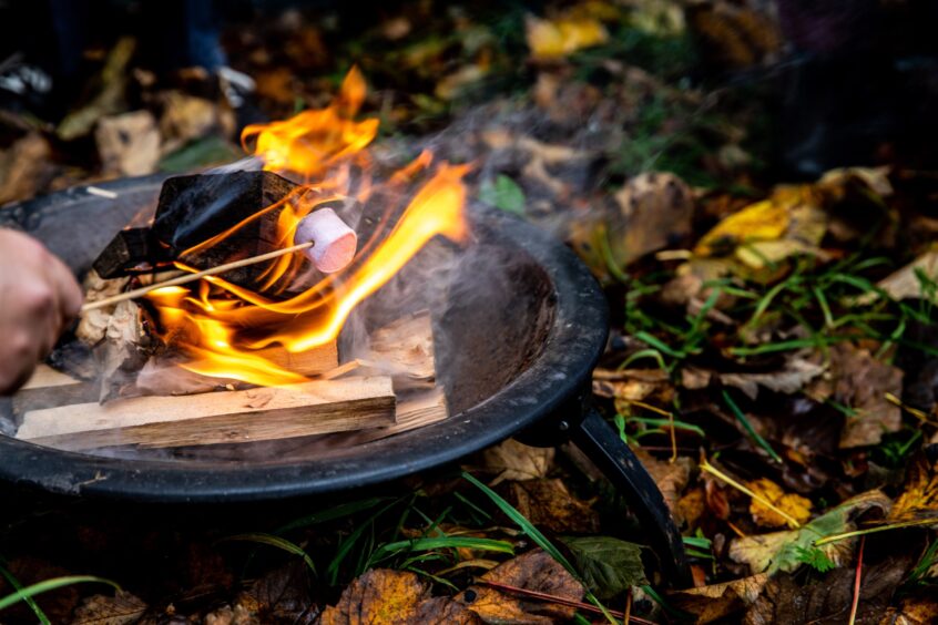 Image shows a firepit on a bed of autumn leaves with a marshmallow being toasted on a stick.