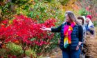 Image shows: a group of walkers enjoying the beautiful autumn colours at Cambo Estate in Fife.