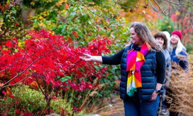 Image shows: a group of walkers enjoying the beautiful autumn colours at Cambo Estate in Fife.