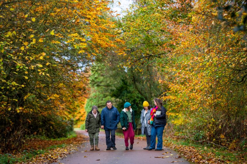 Image shows a group of people walking up the driveway of Cambo Estate. The trees along the drive are beautiful shades of yellow, orange and green.