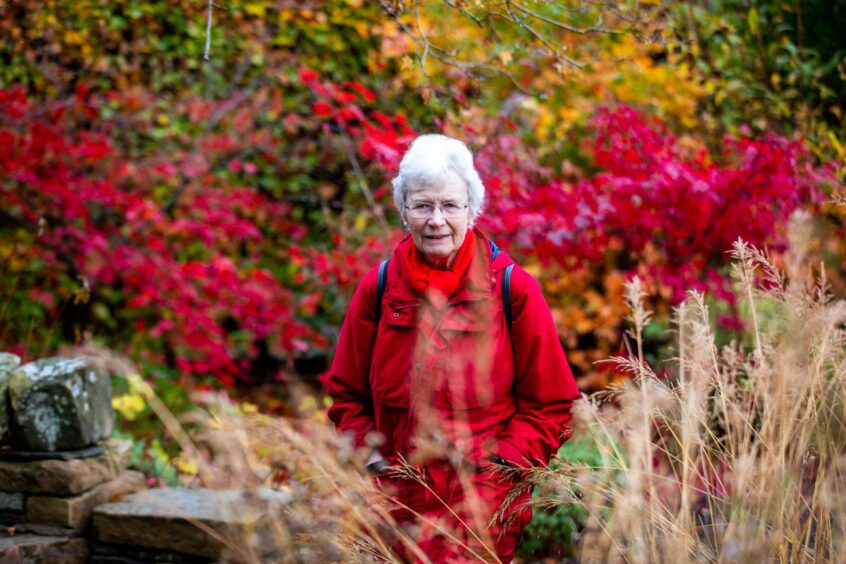 Image shows walker Jean Kemp among the autumn colours. Jean is wearing a red coat and scarf which blend in with the red leaves.