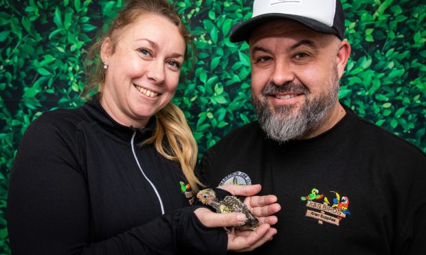 Kirkcaldy's Kirsty and Simon Wehrle with one of their hand reared cockatiels. Image: Steve Brown/DC Thomson