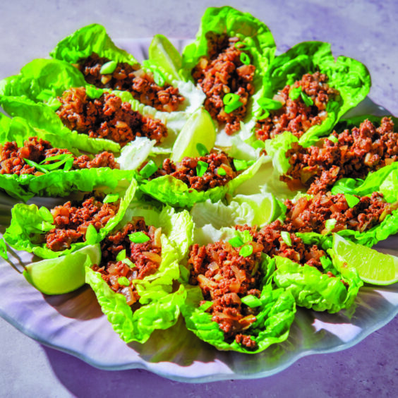 Venison mince in lettuce leaves - a recipe from the Venison Kitchen cookbook.