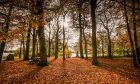 Beautiful autumn light in Monikie Park. Image: Mhairi Edwards/DC Thomson