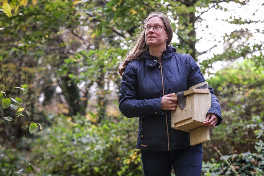 Emilie with a bat box in the grounds of Kellie in Fife. Image: Mhairi Edwards.