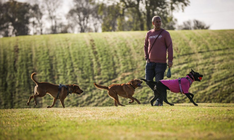 Gordon Hood with some of the dogs at Unleashed near Dundee.