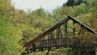 A verdant view of a bridge from a walk near Stirling