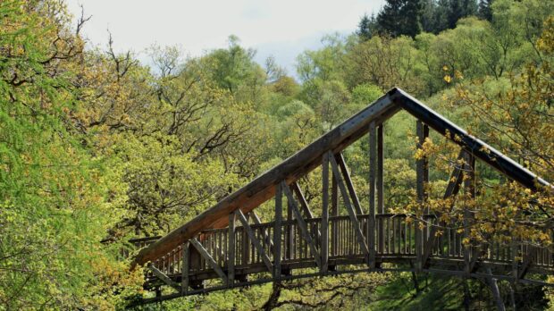 A verdant view of a bridge from a walk near Stirling