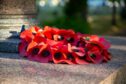 Poppy wreaths will be laid at war memorials across Stirlingshire for Remembrance Day. Image: Seadog81/Shutterstock