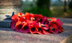 Poppy wreaths will be laid at war memorials across Stirlingshire for Remembrance Day. Image: Seadog81/Shutterstock