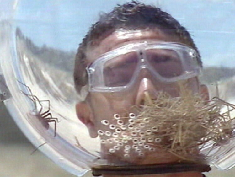 Gino D'Acampo gets way too close to a huge spider in I'm a Celebrity 2009, putting goggles on a putting his head in a clear container containing a large arachnid