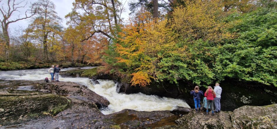 People standing on rocks watching salmon leap up waterfalls