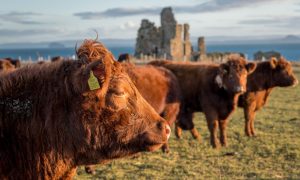 Balcaskie Estate, Fife.