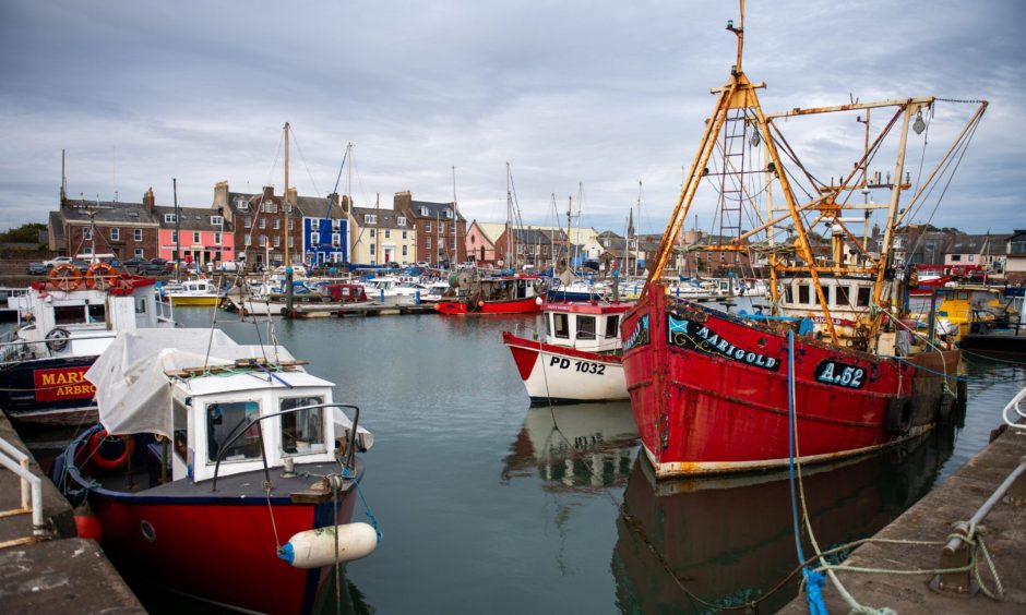 Arbroath harbour tourism.