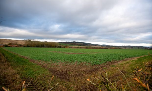 The site of the proposed Cupar solar farm