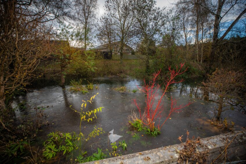 Bridge of Earn flooded garden.