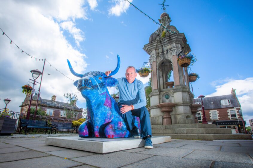 David McCann, cow sculpture