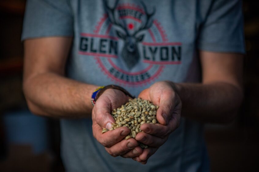 A man wearing a Glen Lyon Coffee roasters T-shirt holding coffee beans in two hands.