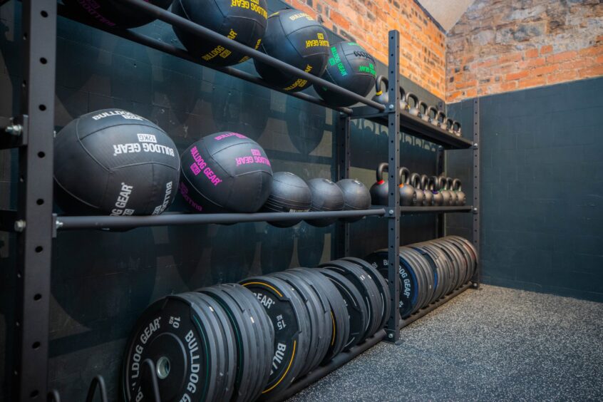 A gym rack stands against a wall with weights and medicine balls on the shelves.