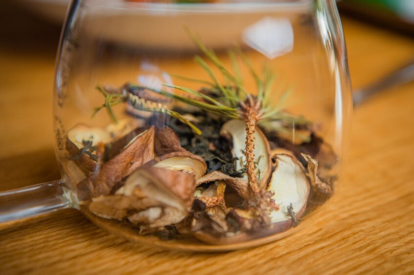 Foraged wild mushrooms, dried larch and Douglas fir in a tea pot ready to be infused.