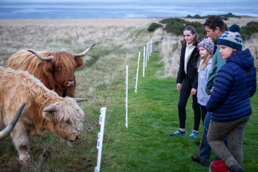 Image shows: Rory Fyfe of Rewilding Kinkell introducing Orla, Aoife and Finbar Adamson to his herd of Highland cows.