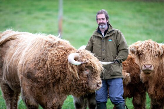 CR0050627, Rebecca Baird, Newburgh. James OSwald Author & Farmer Big Interview. Picture Shows: James Oswald at home in Newburgh on the farm where while looking after his herd of Highland Cattle, he is also a successful author of Scottish Crime Fiction novels. Friday 01st November 2024. Image: Steve Brown/DC Thomson